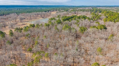4.08+/- acres of wooded, level land located outside the city - photo 9