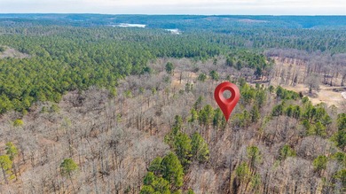 4.08+/- acres of wooded, level land located outside the city - photo 10
