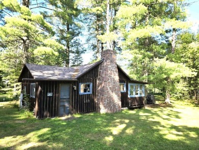 Lake Alice Condo For Sale in Tomahawk Wisconsin