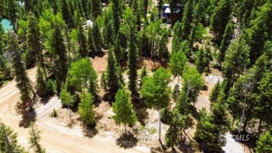 Navajo Lake Lot For Sale in Duck Creek Village Utah