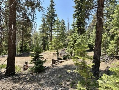 Navajo Lake Lot For Sale in Duck Creek Village Utah