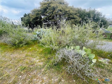 Scenic Hilltop Lot - Your Diamond in the Rough! This beautiful - photo 1