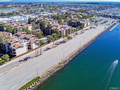 Experience spectacular Marina and Marine Stadium views from this - photo 45