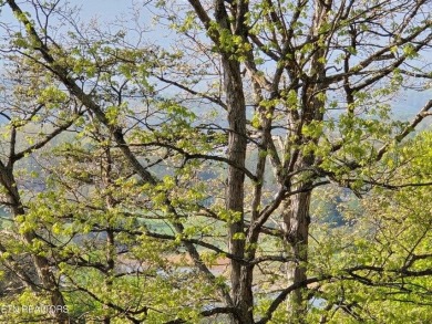 Cherokee Lake Lot Sale Pending in Morristown Tennessee