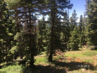 Navajo Lake Lot For Sale in Duck Creek Village Utah
