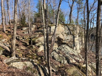 Large Rock Formations, Waterfront Lot, Smith Lake - Lake Lot For Sale in Crane Hill, Alabama