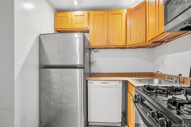 Spacious 1-bedroom condo in a desirable Canarsie community - photo 2