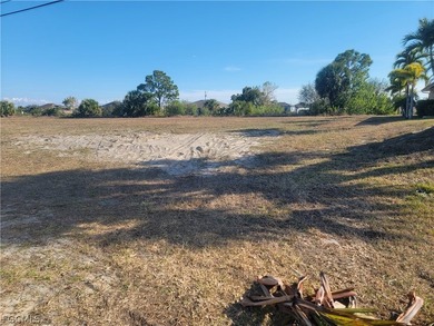 This .23-acre vacant residential freshwater lot with southern - photo 4