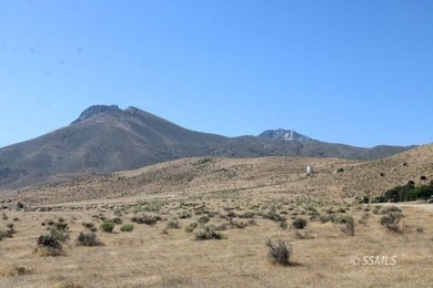 Three Contiguous Acreage Parcels, 5.00 Acre plus 7.89 Acre plus - photo 4