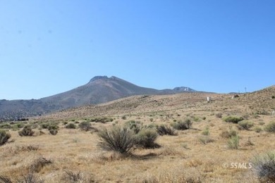 Three Contiguous Acreage Parcels, 5.00 Acre plus 7.89 Acre plus - photo 6