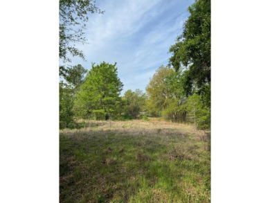 Lake Lot For Sale in Gun Barrel City, Texas