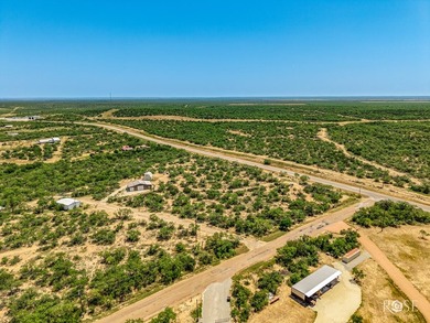 Looking for the perfect retreat on one of Texas' top fishing - photo 11