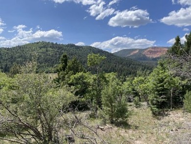 Navajo Lake Lot For Sale in Duck Creek Village Utah