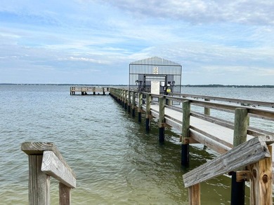Experience waterfront living at The Palms of Sunset Harbor on - photo 48