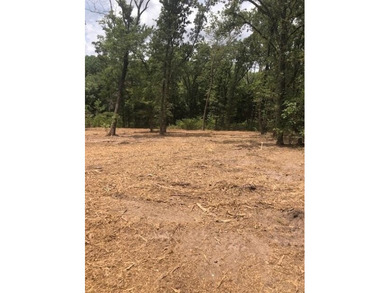 Lake Tawakoni Lot For Sale in Quinlan Texas