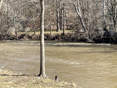 Thornapple River Lot For Sale in Caledonia Michigan