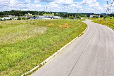 Prime 9.72-Acre Commercial Lot - I-40 Exit 417, Dandridge, TN - photo 3