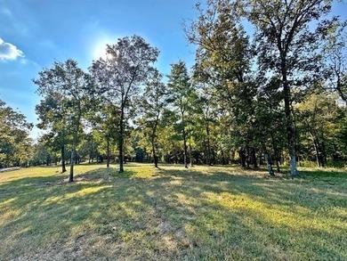 Rare 10-Acre Private Lake Access Property w/Shops & Enclosed - photo 5
