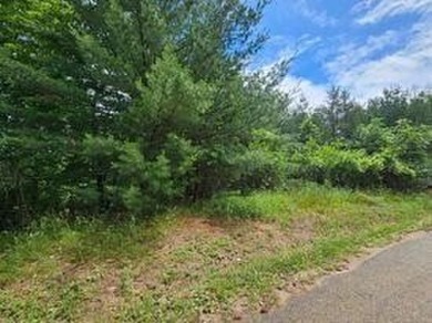 Lake Lot For Sale in Friendship, Wisconsin