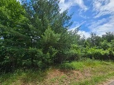 Two beautifully wooded lots located near Castle Rock Lake - photo 2