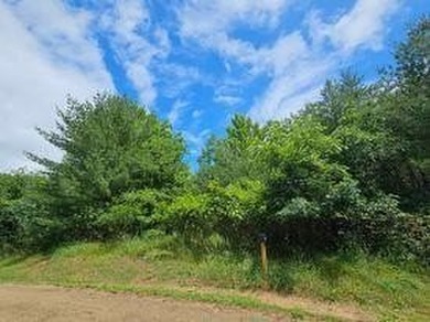 Two beautifully wooded lots located near Castle Rock Lake - photo 3
