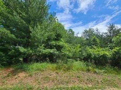 Two beautifully wooded lots located near Castle Rock Lake - photo 4