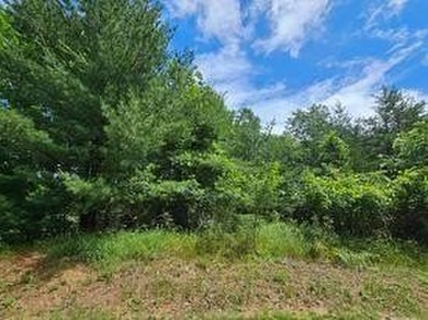 Two beautifully wooded lots located near Castle Rock Lake - photo 5
