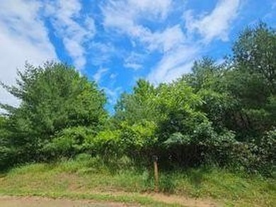 Two beautifully wooded lots located near Castle Rock Lake - photo 7