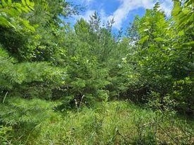 Two beautifully wooded lots located near Castle Rock Lake - photo 8