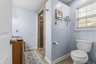 ONE LEVEL RANCH IN EXCELLENT CONDITION IN AWESOME LAKE - photo 34