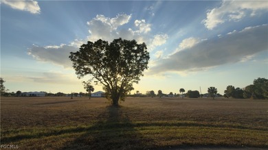 Burnt Store Lakes  Lot For Sale in Punta Gorda Florida