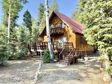Navajo Lake Home For Sale in Duck Creek Village Utah