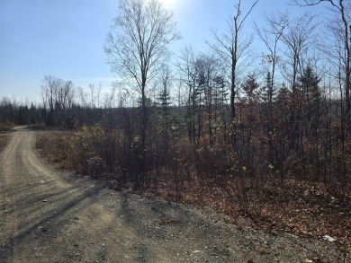  Acreage For Sale in Amity Maine