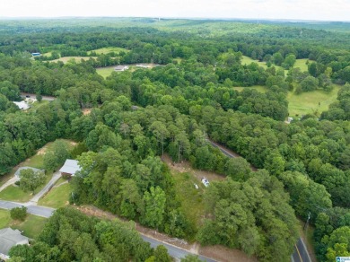 Lake Lot For Sale in Mccalla, Alabama