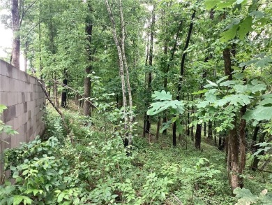 Lake Lot For Sale in Rogers, Arkansas