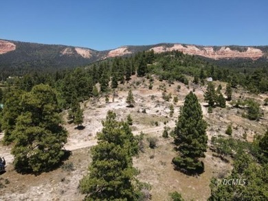 Navajo Lake Lot For Sale in Duck Creek Village Utah