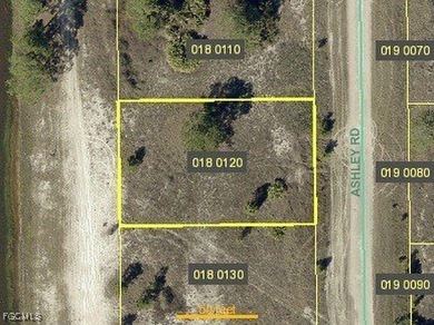 Lehigh Acres Area Lot For Sale in Lehigh Acres Florida