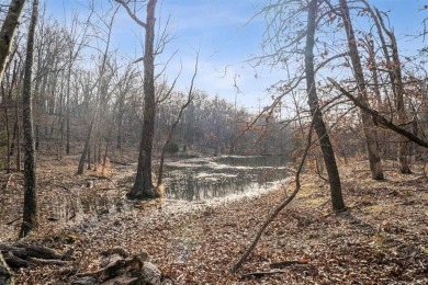 (private lake, pond, creek) Acreage For Sale in Salina Oklahoma