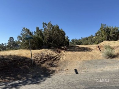 This is the rare land opportunity you've been waiting for! Five - photo 1