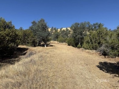 This is the rare land opportunity you've been waiting for! Five - photo 9