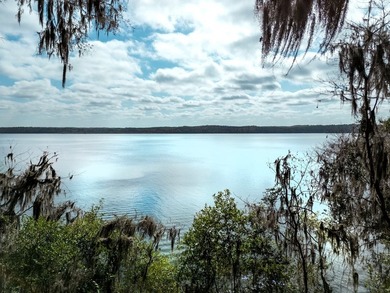 Lot 14 in Shadow Moss Subdivision is a waterfront lot on Lake - photo 11
