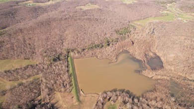This unique parcel lies within the heart of Perry County and - photo 2
