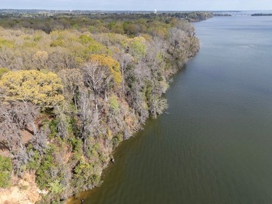 Lot 14 in Shadow Moss Subdivision is a waterfront lot on Lake - photo 12