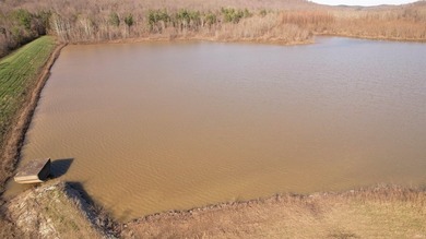 This unique parcel lies within the heart of Perry County and - photo 4