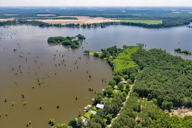 Build your Dream Getaway on Beautiful Lake Blackshear with this - photo 14