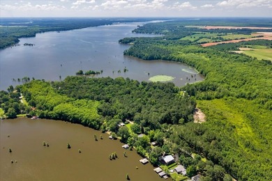 Build your Dream Getaway on Beautiful Lake Blackshear with this - photo 16