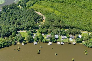 Build your Dream Getaway on Beautiful Lake Blackshear with this - photo 17