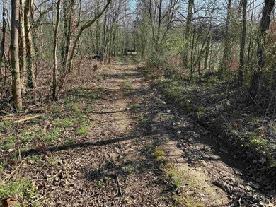 This unique parcel lies within the heart of Perry County and - photo 9