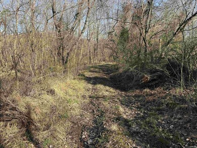 This unique parcel lies within the heart of Perry County and - photo 10