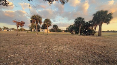 Seller Motivated Prime Cul-de-Sac Lot Near Burnt Store Marina | - photo 4